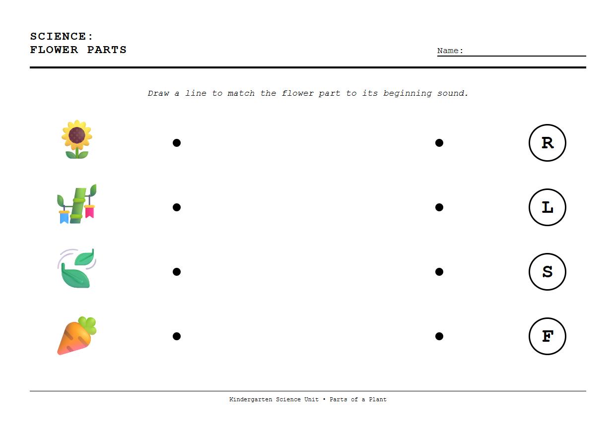 Beginning Sounds Matching for Flower Parts