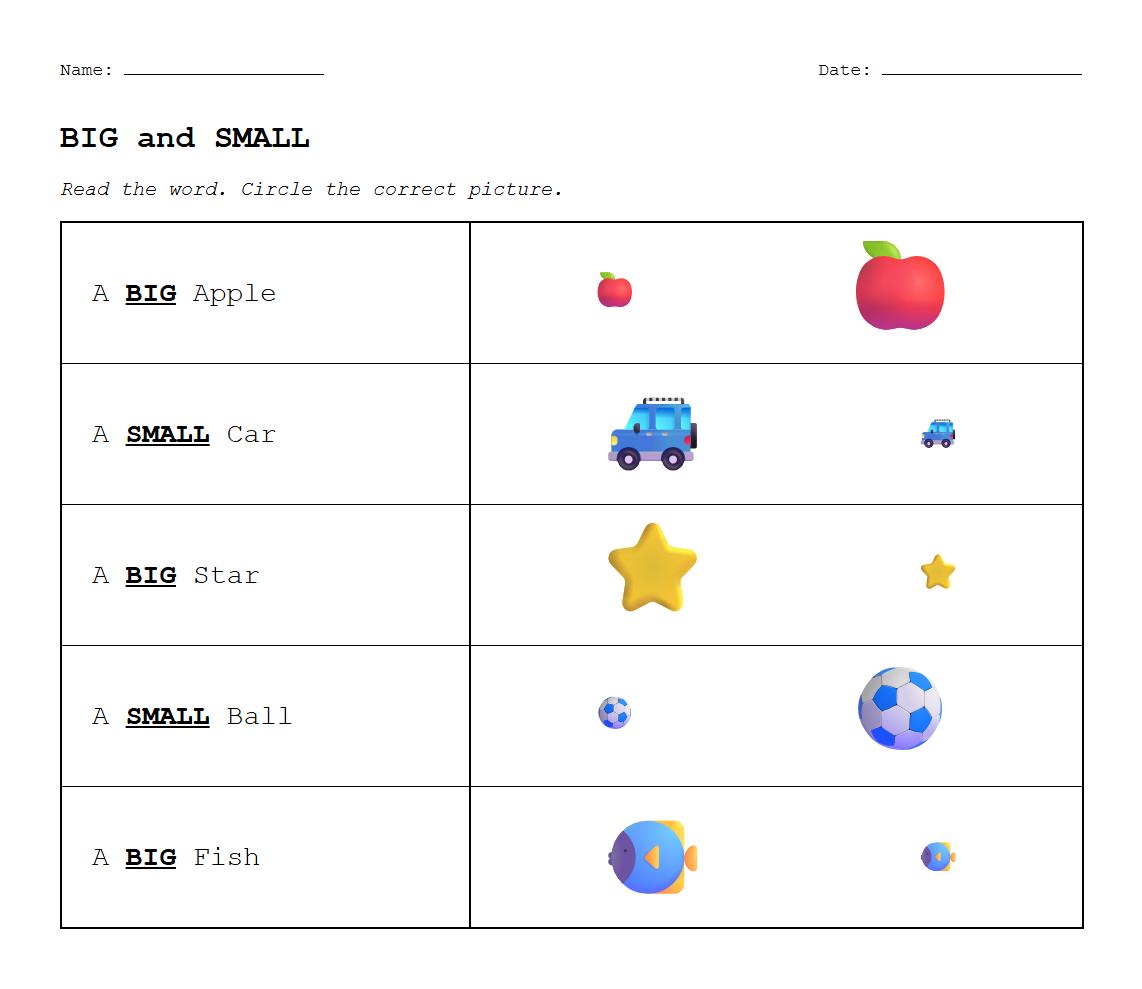 Big and Small Phonics Vocabulary Matching Worksheet