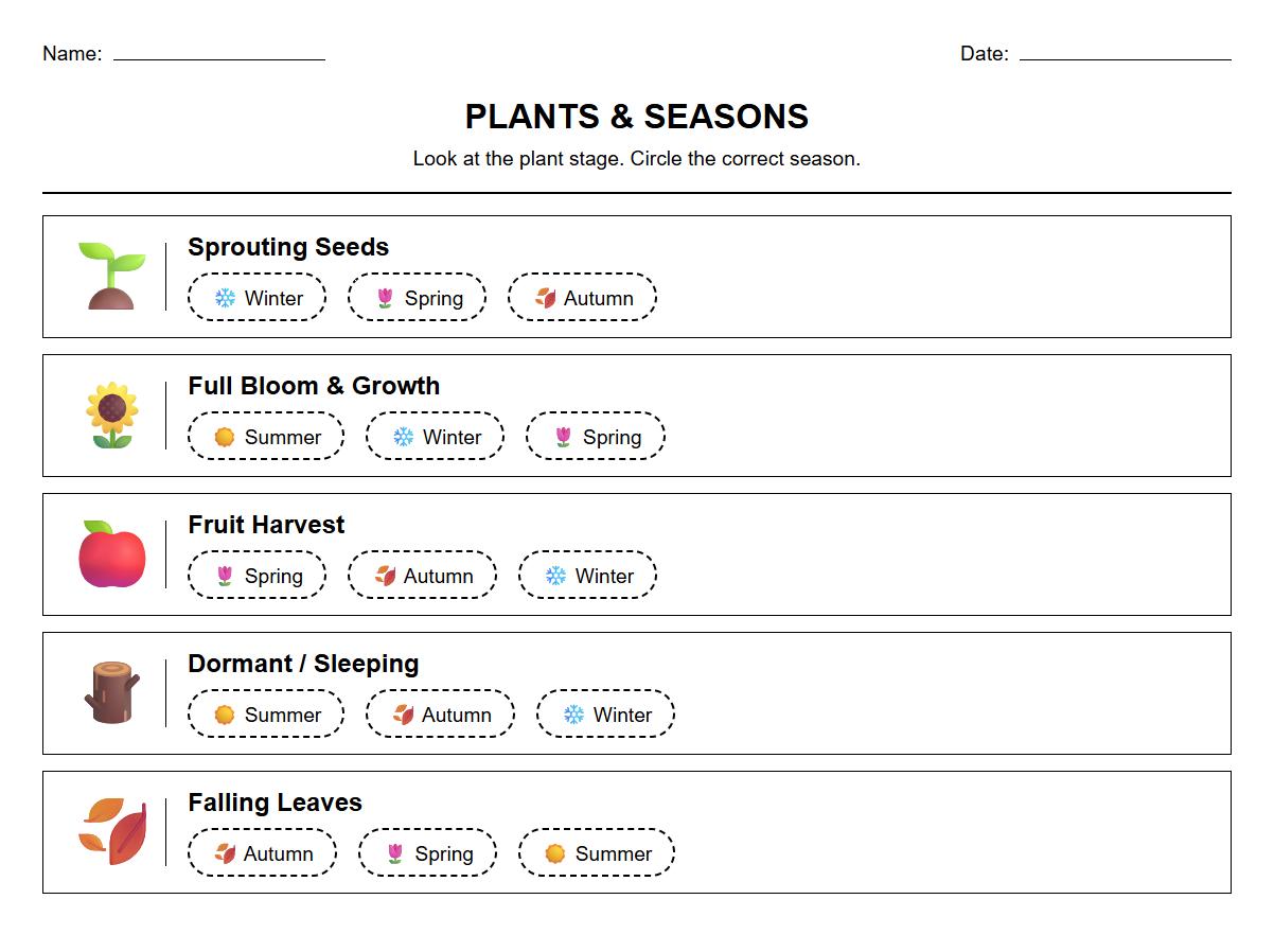 Circle the Correct Season Worksheet Involving Plant Life Cycle Terminology