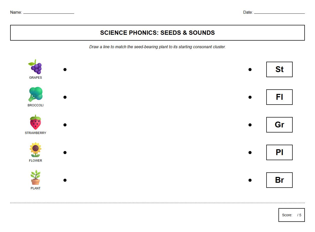 Consonant Cluster and Seed Type Matching Exercise