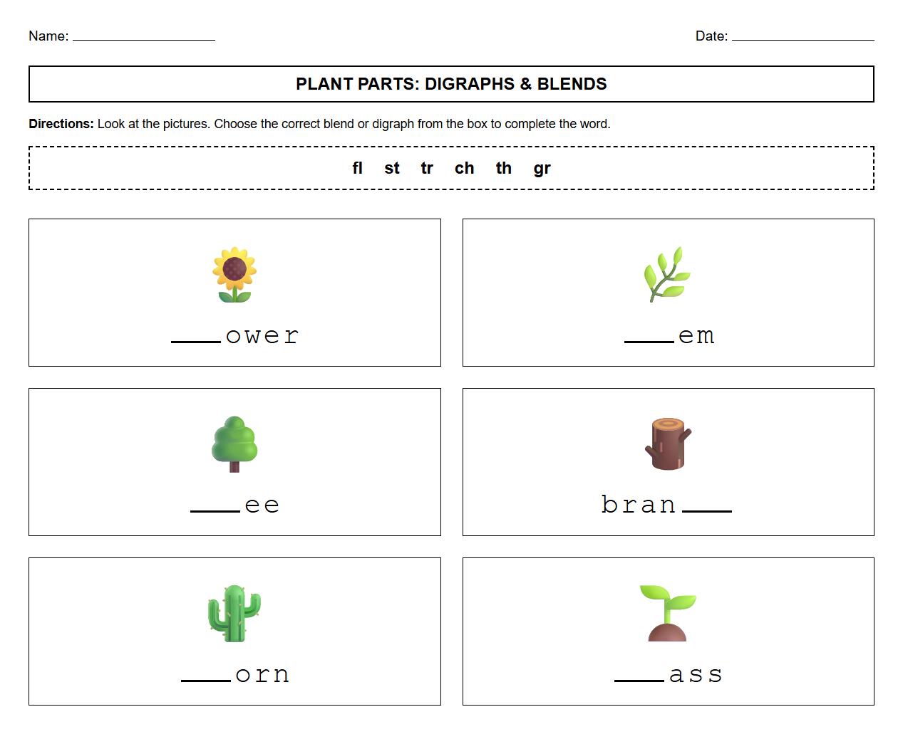Digraphs and Blends Activity Involving Parts of a Plant