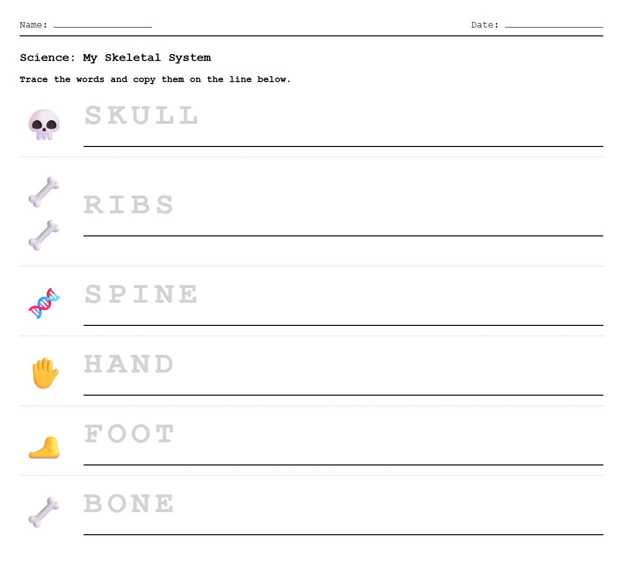 Early Literacy Skeletal System Tracing and Writing Worksheet