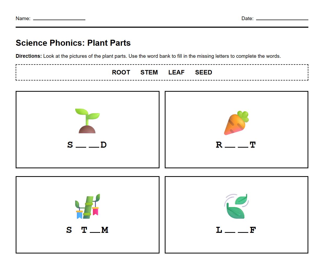 Root and Stem Formation Phonics Fill in the Blanks for Phonemic Awareness