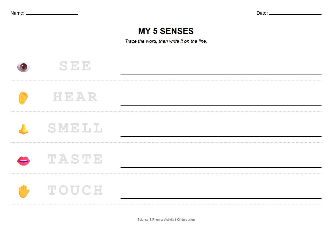 Trace and Write Sensory Vocabulary Phonics Worksheet