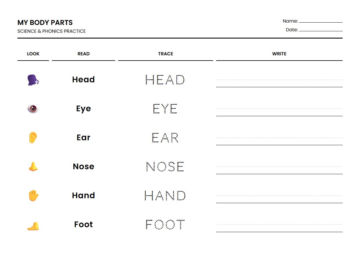 Anatomy Vocabulary Phonics Tracing Practice Worksheet