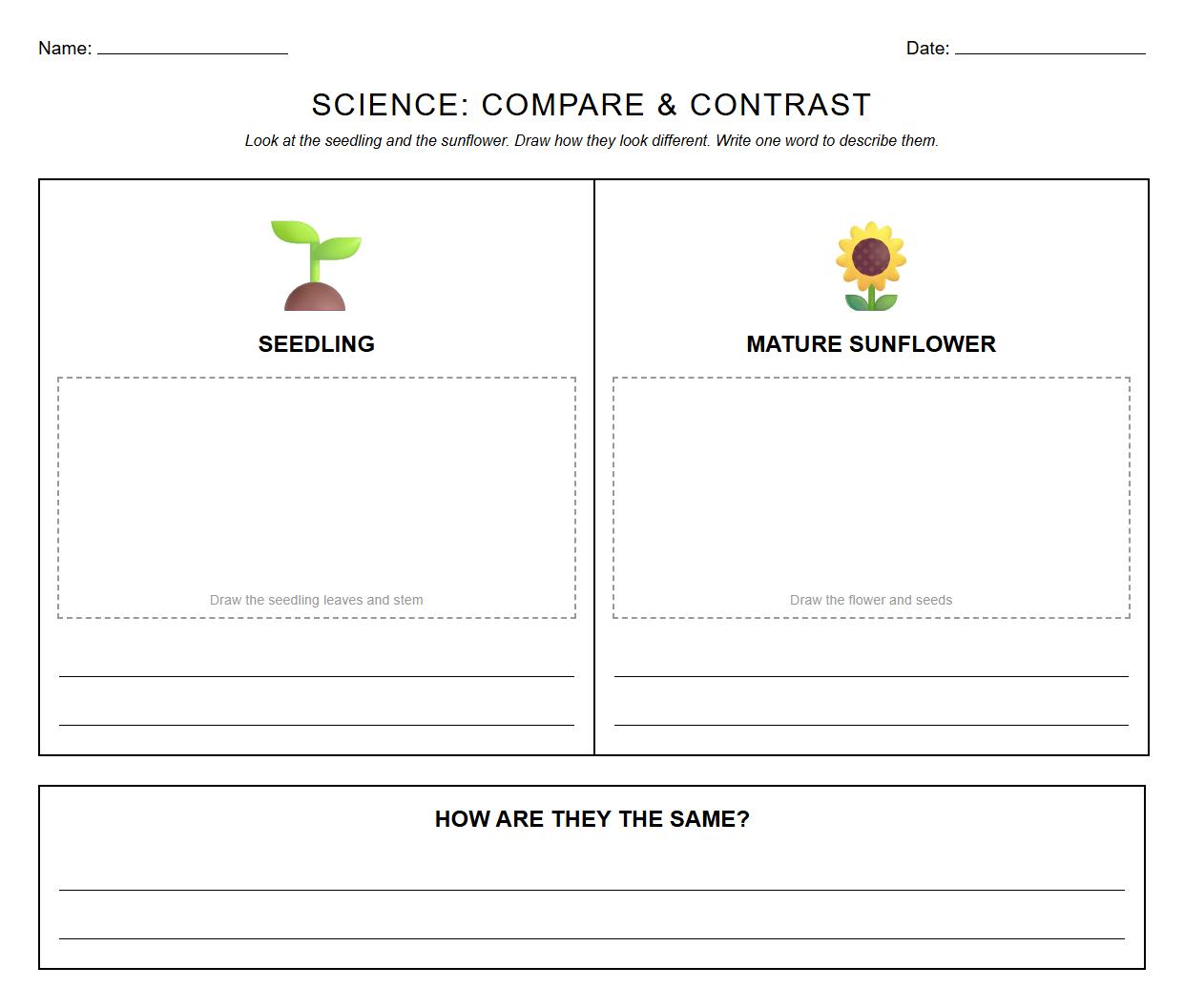 Compare and Contrast Chart for Seedling vs Mature Sunflower