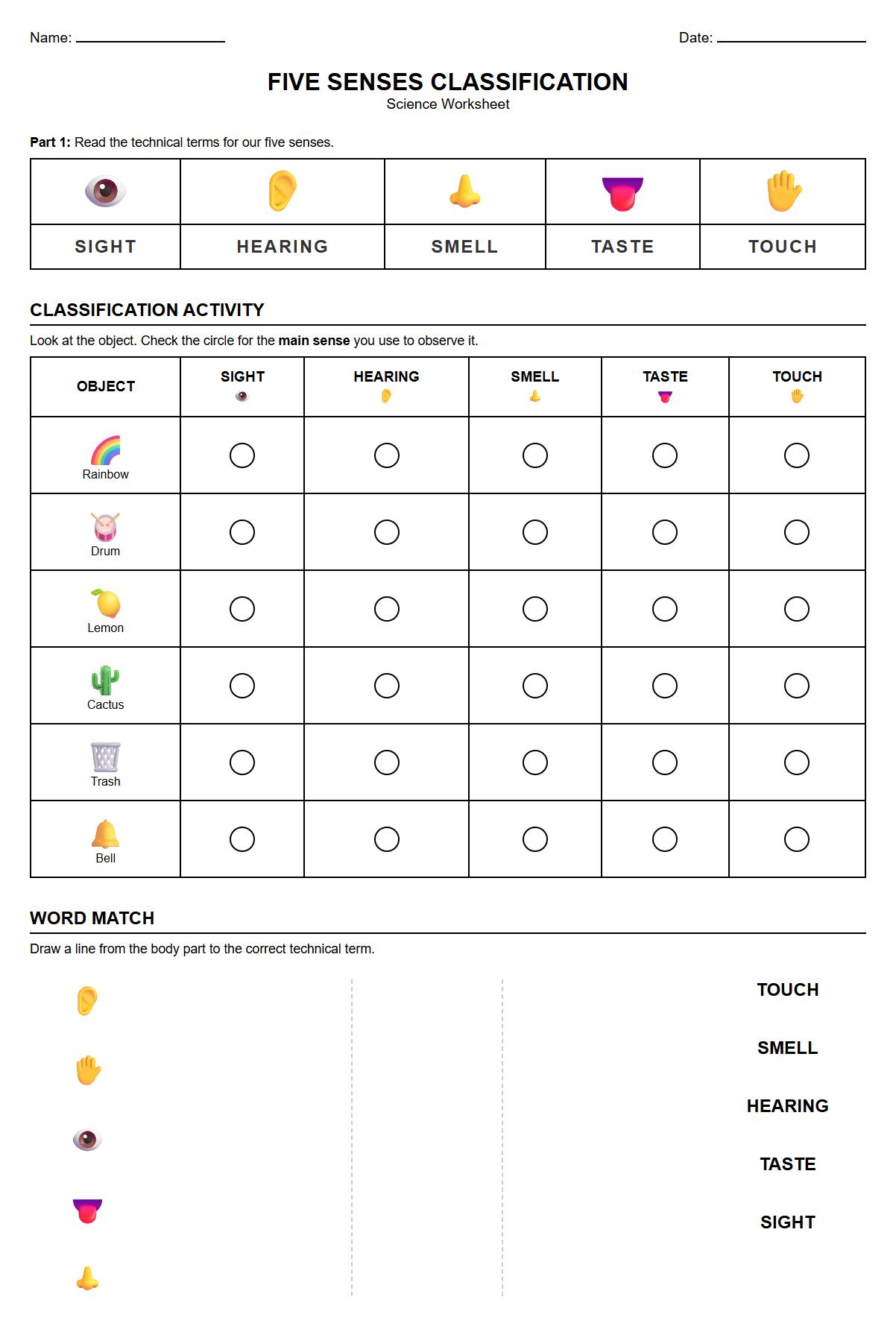 Five Senses Technical Term Classification Worksheet