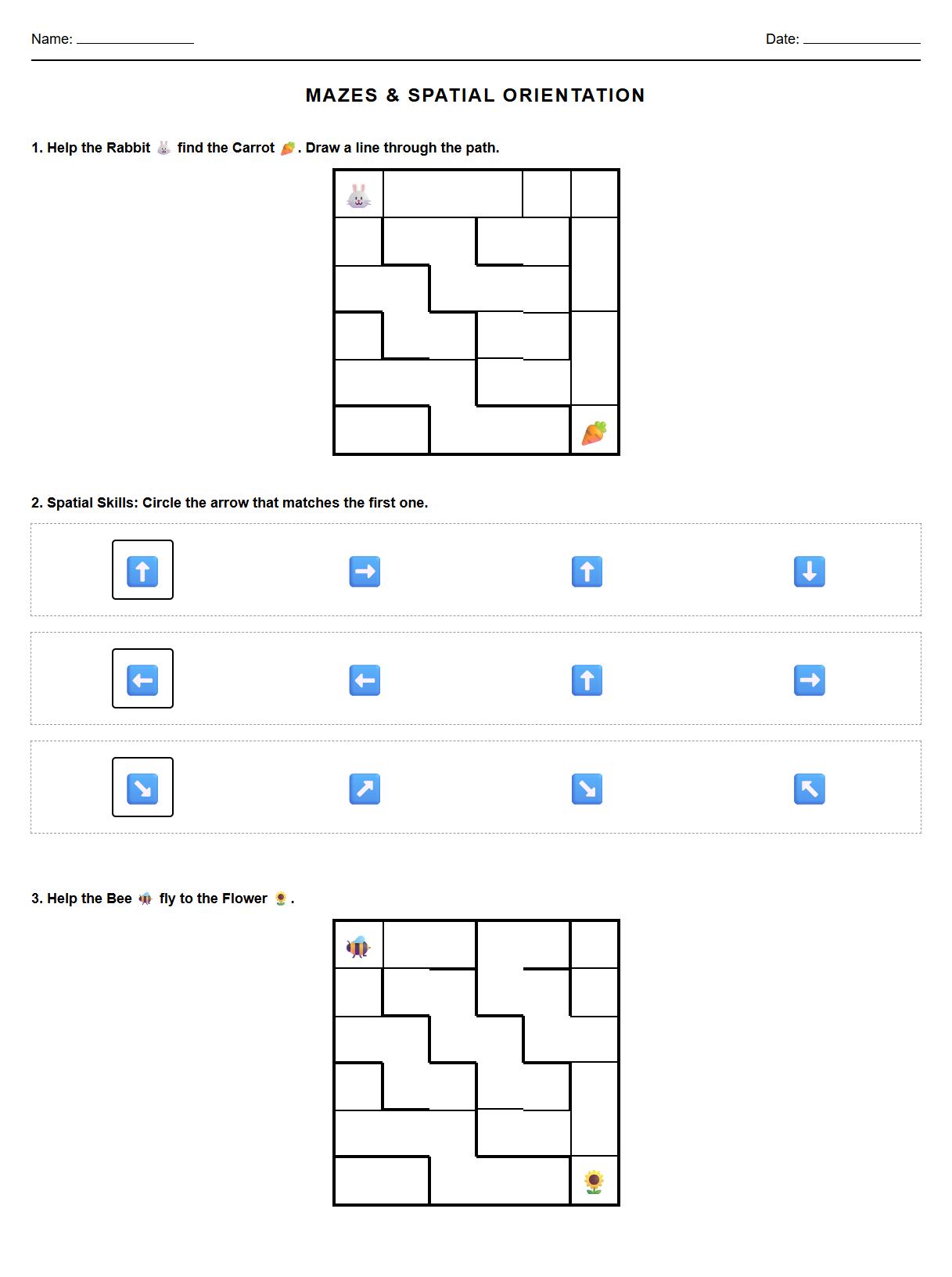 Mazes Spatial Orientation Practice Sheet