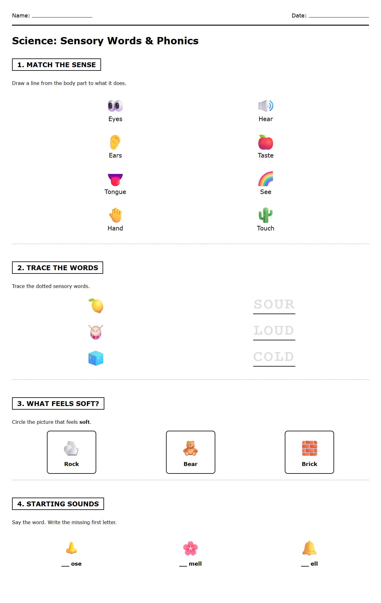 Phonics and Vocabulary Worksheet on Sensory Words