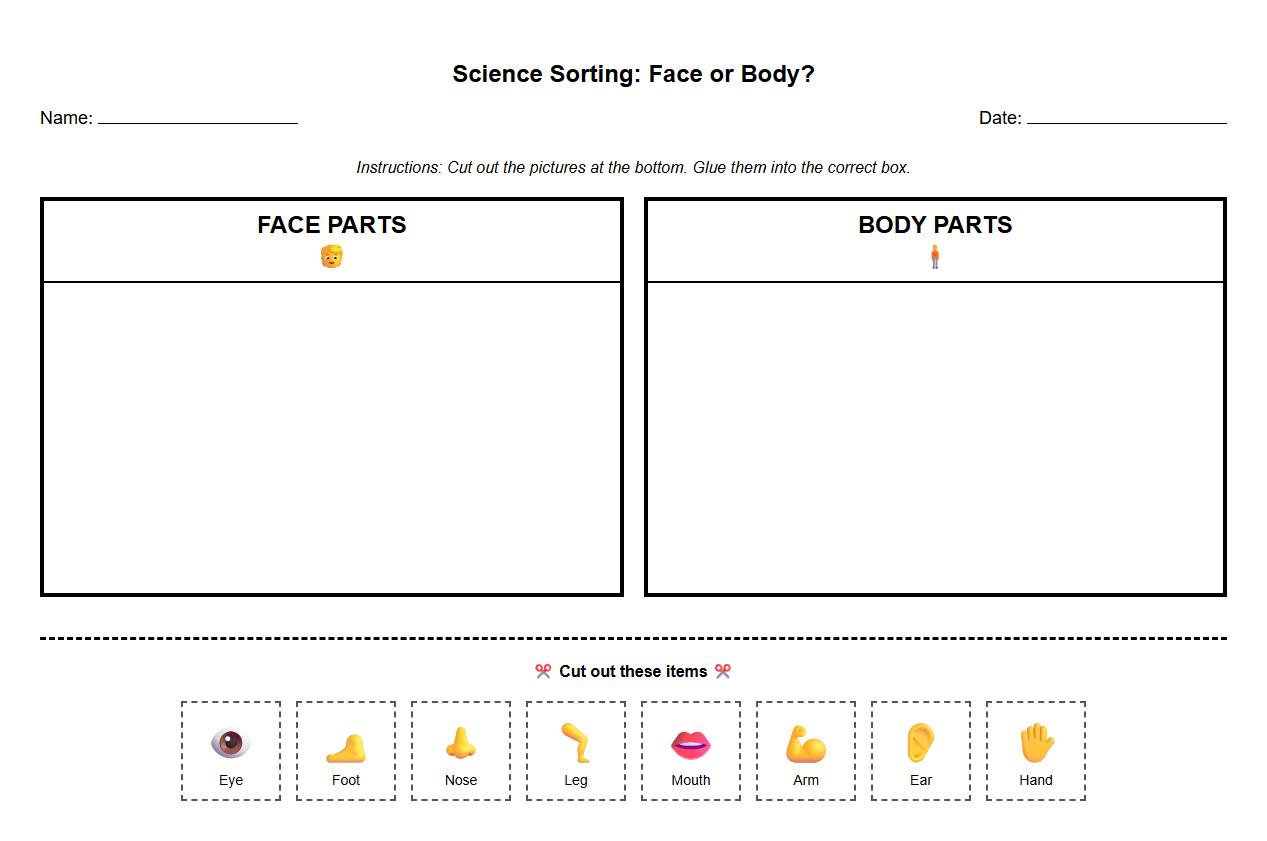 Sorting Game Worksheet distinguishing facial vs body parts