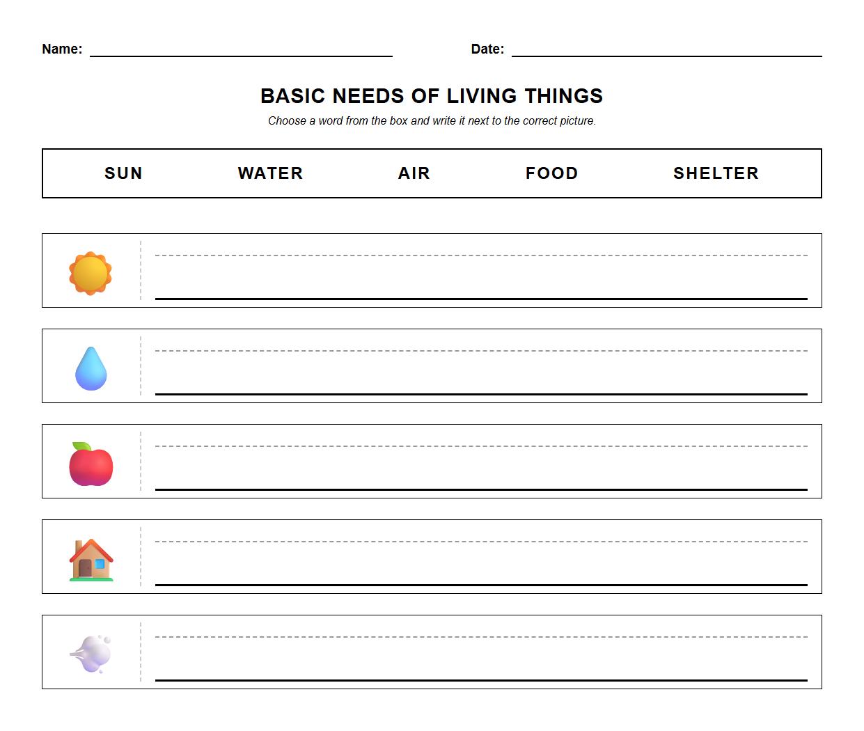 Basic Needs of Living Things Science Vocabulary Worksheet