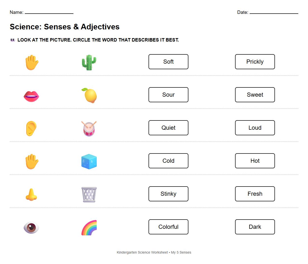 Descriptive Adjectives for Senses Exercise