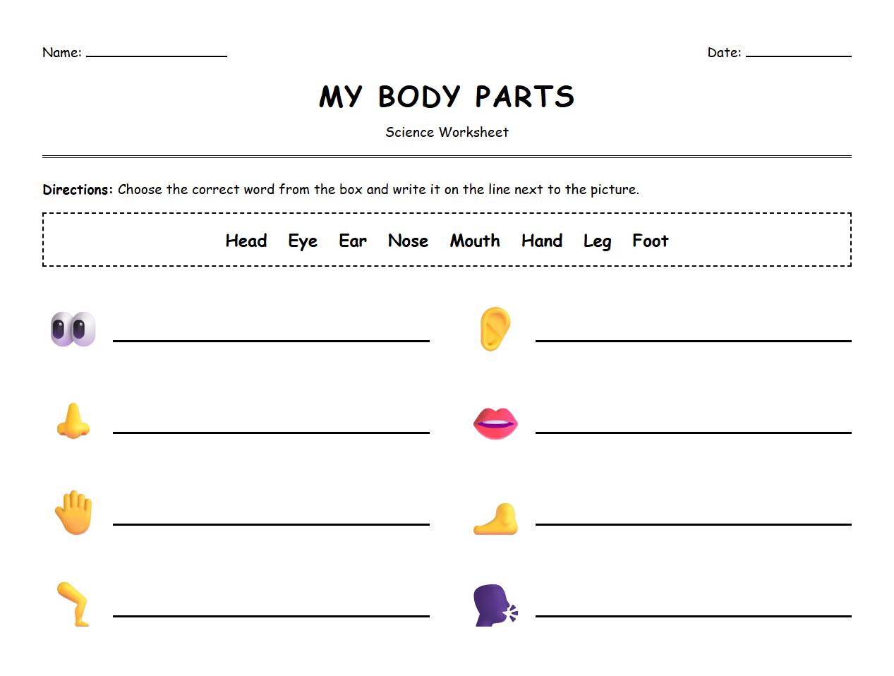 Fill in the Blanks Activity for body parts terminology