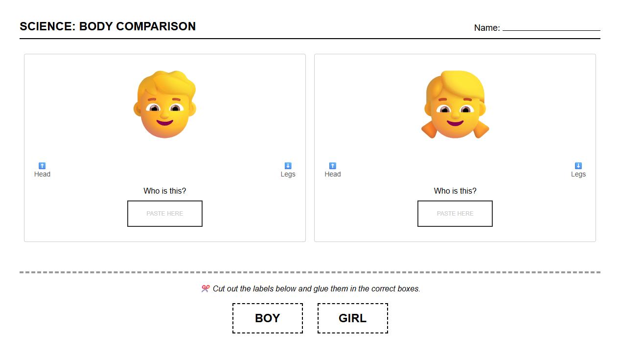 Gender Differences Anatomy Comparison Label Sheet