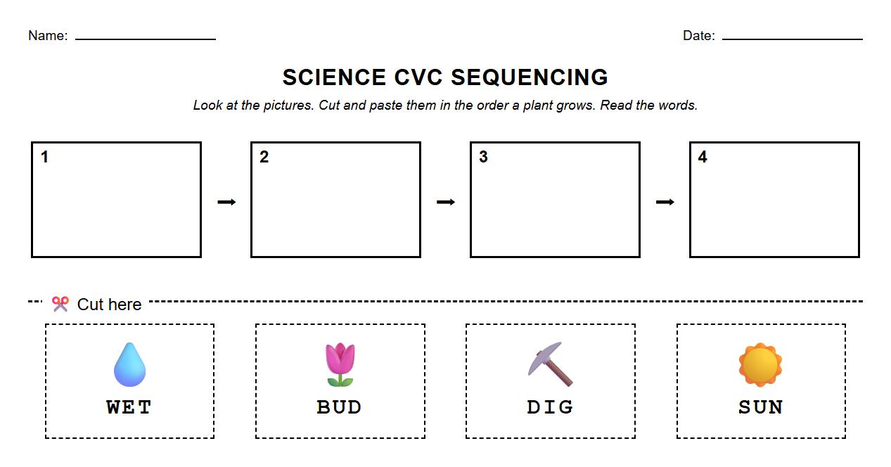 Kindergarten Sequencing Worksheet for Phonics with CVC Words
