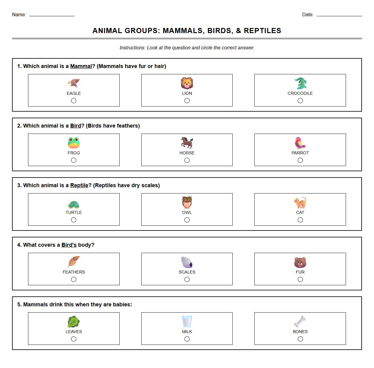 Multiple Choice Worksheet on Features of Mammals Birds and Reptiles