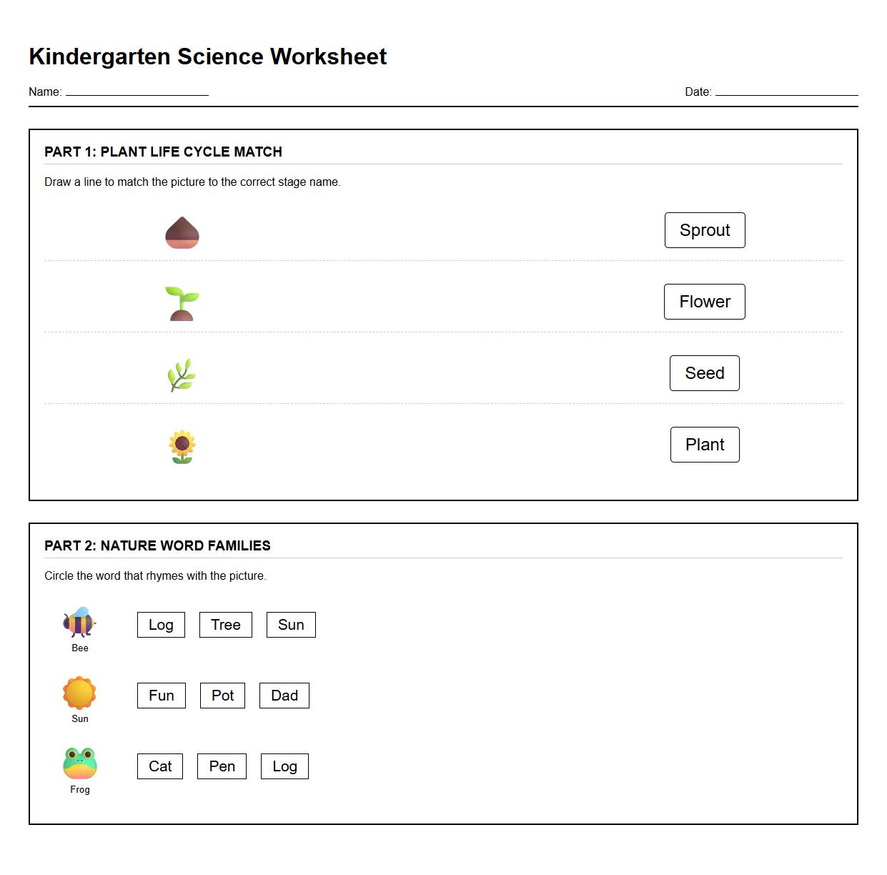 Word Family and Plant Life Cycle Phase Match
