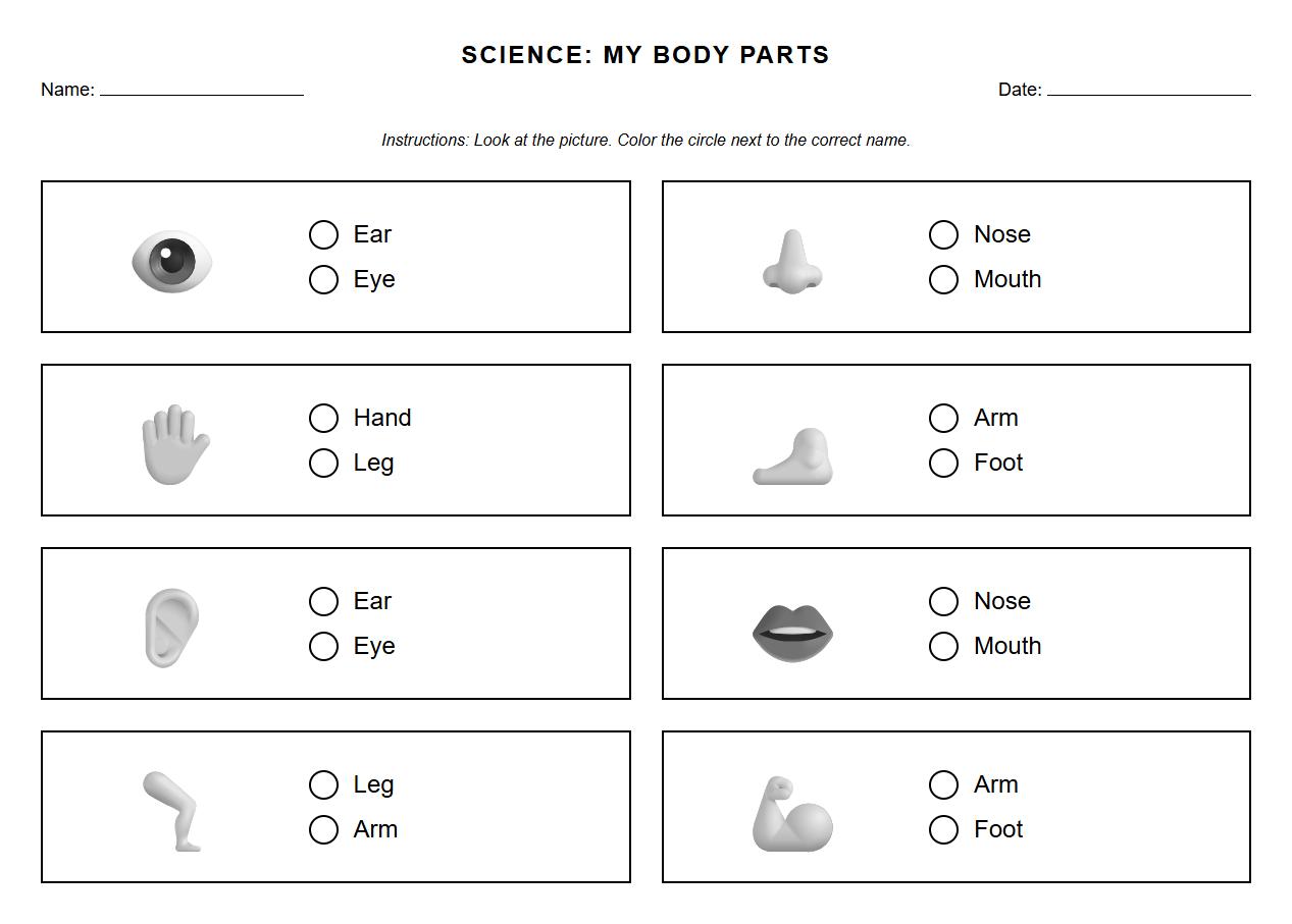 Color and Identify Major Body Parts on outline drawings