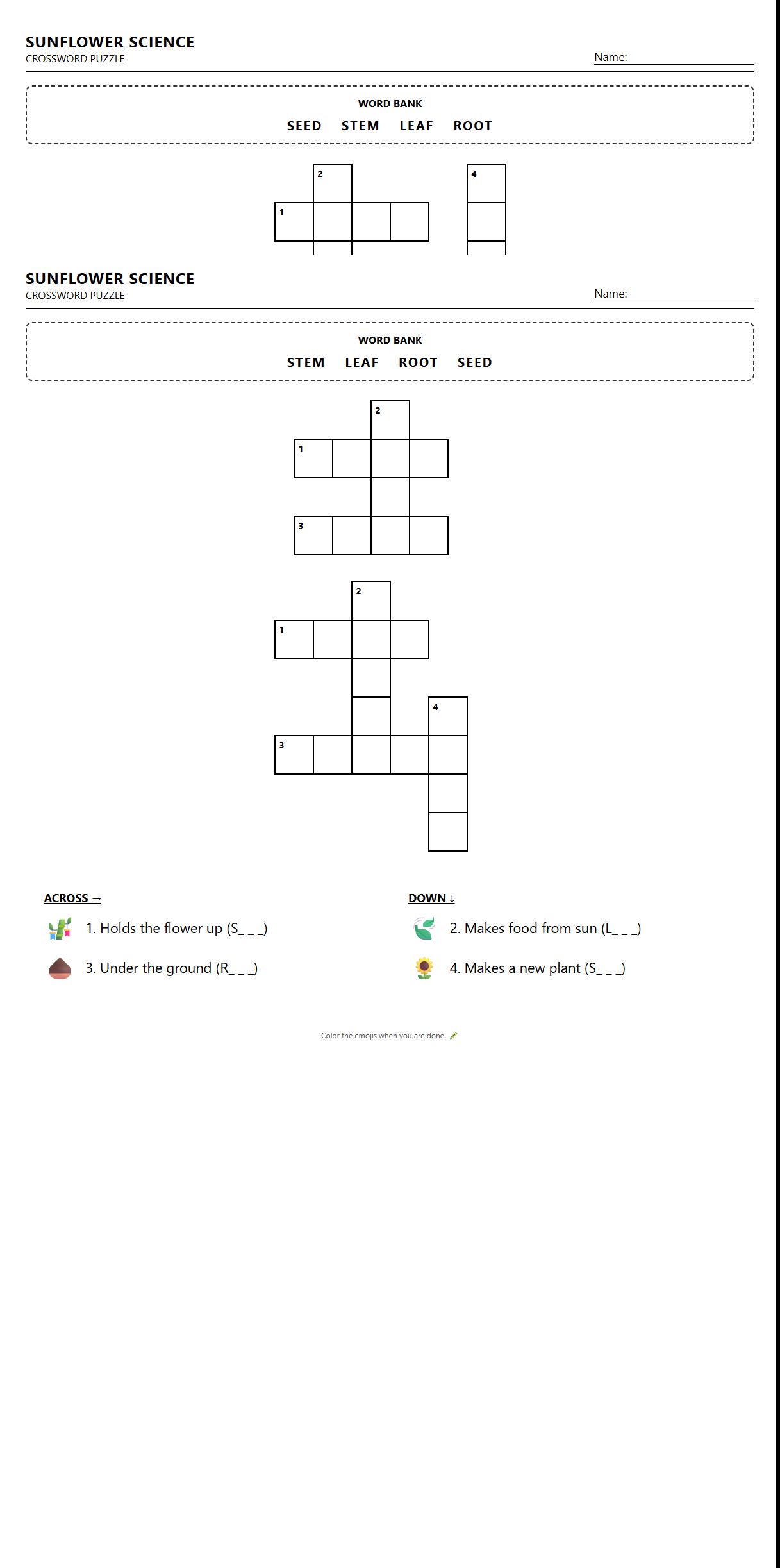 Crossword Puzzle Using Botanical Sunflower Terminology