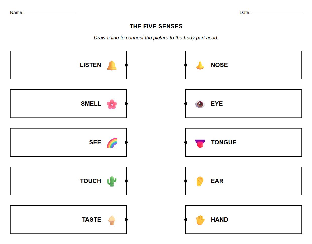 Five Senses and Sensory Receptors Association Worksheet