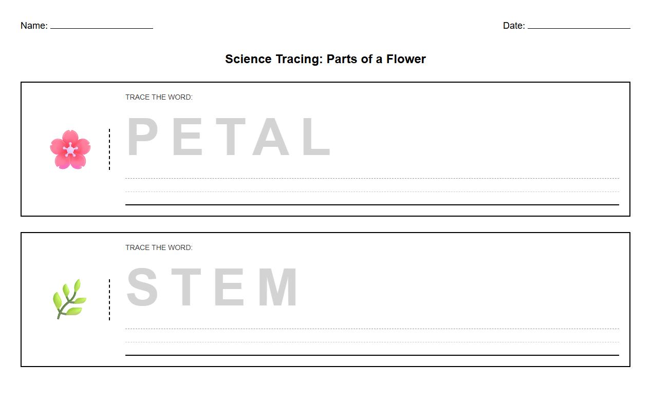 Letter Formation Tracing for Petal and Stem Stages