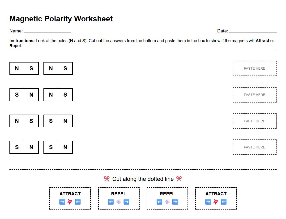 Magnetic Polarity Cut and Paste Exercise
