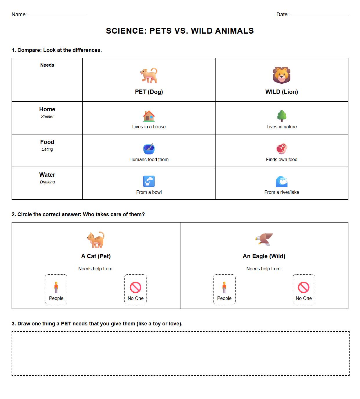 Needs of Pets versus Wild Animals Comparison Worksheet