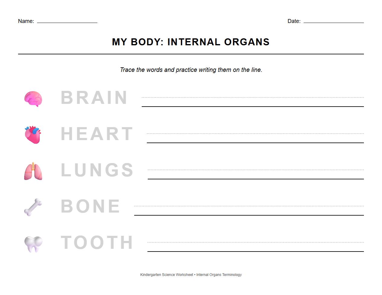 Tracing and Writing Internal Organs Terminology Worksheet