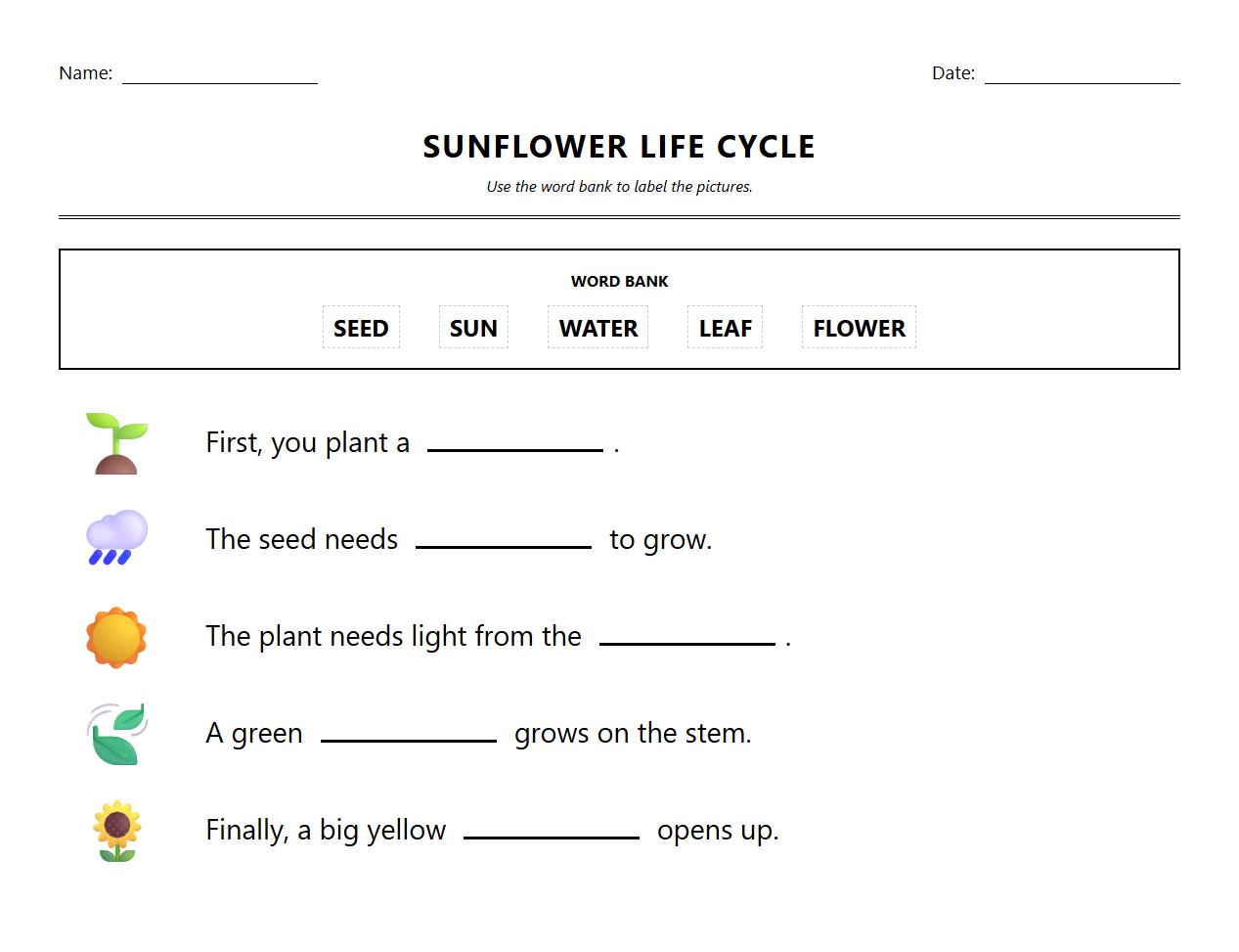 Fill in the Blank Worksheet for Sunflower Life Cycle Terms