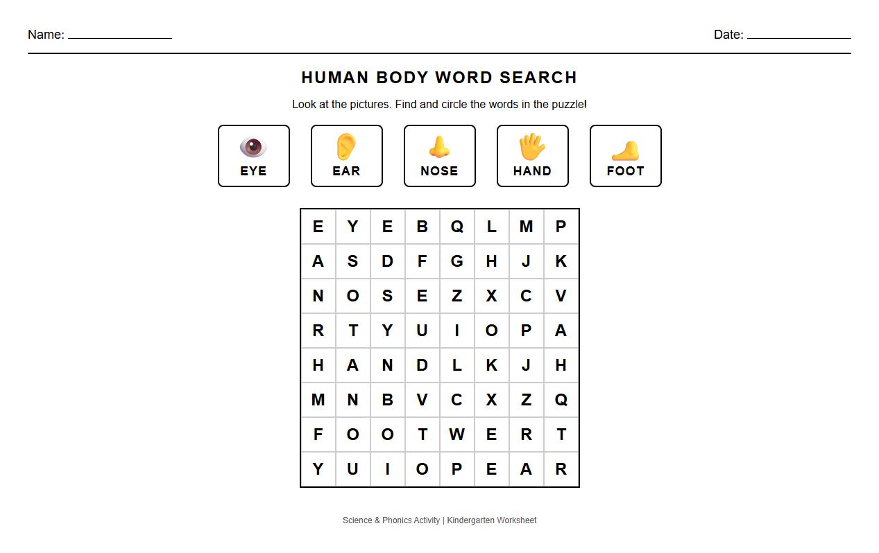 Phonics Word Search Human Body Anatomy Worksheet
