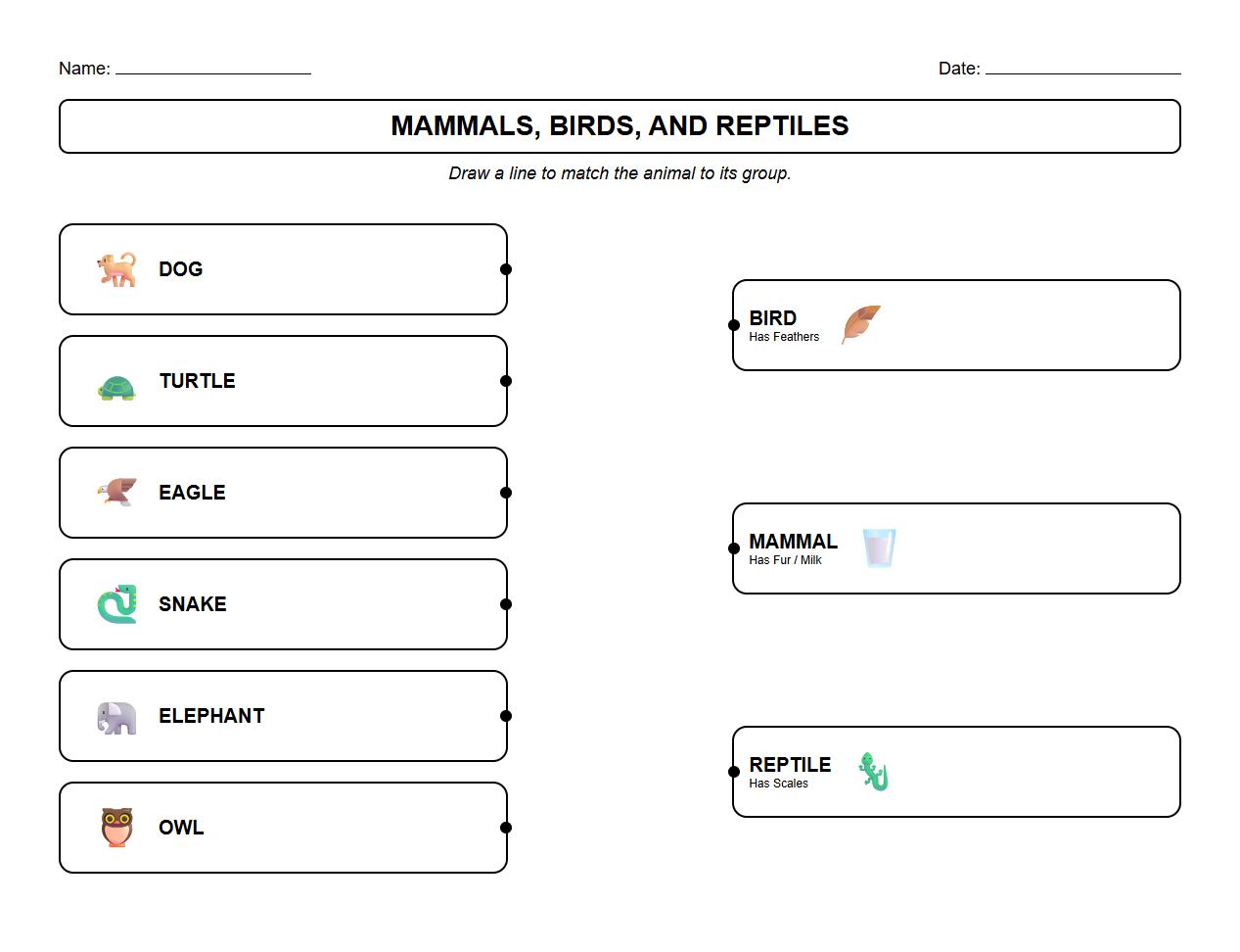 Picture Matching Worksheet for Mammals Birds and Reptiles Characteristics