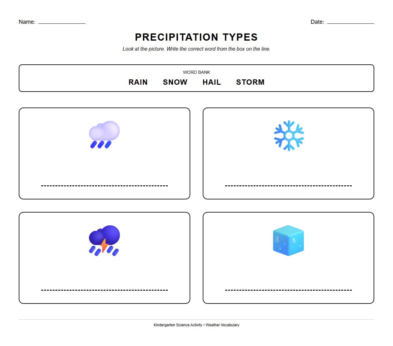 Precipitation Types Labeling Using Weather Vocabulary