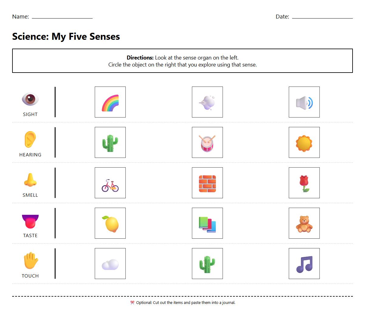 Visual Discrimination with Five Senses Worksheet