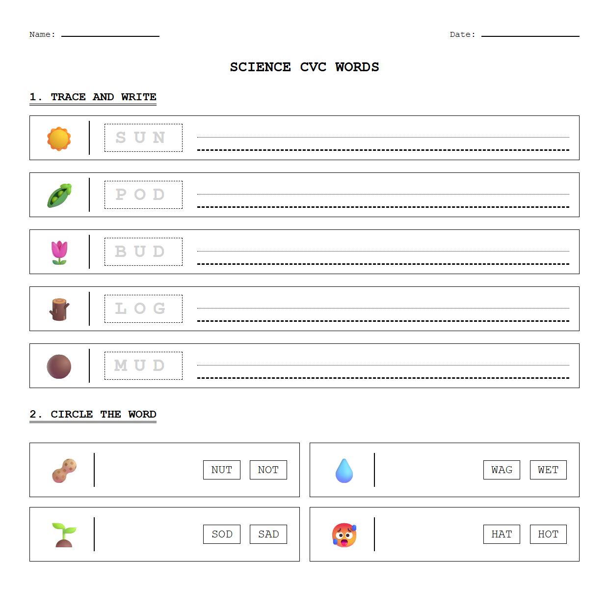 CVC Word Practice with Seed, Stem, and Leaf Words