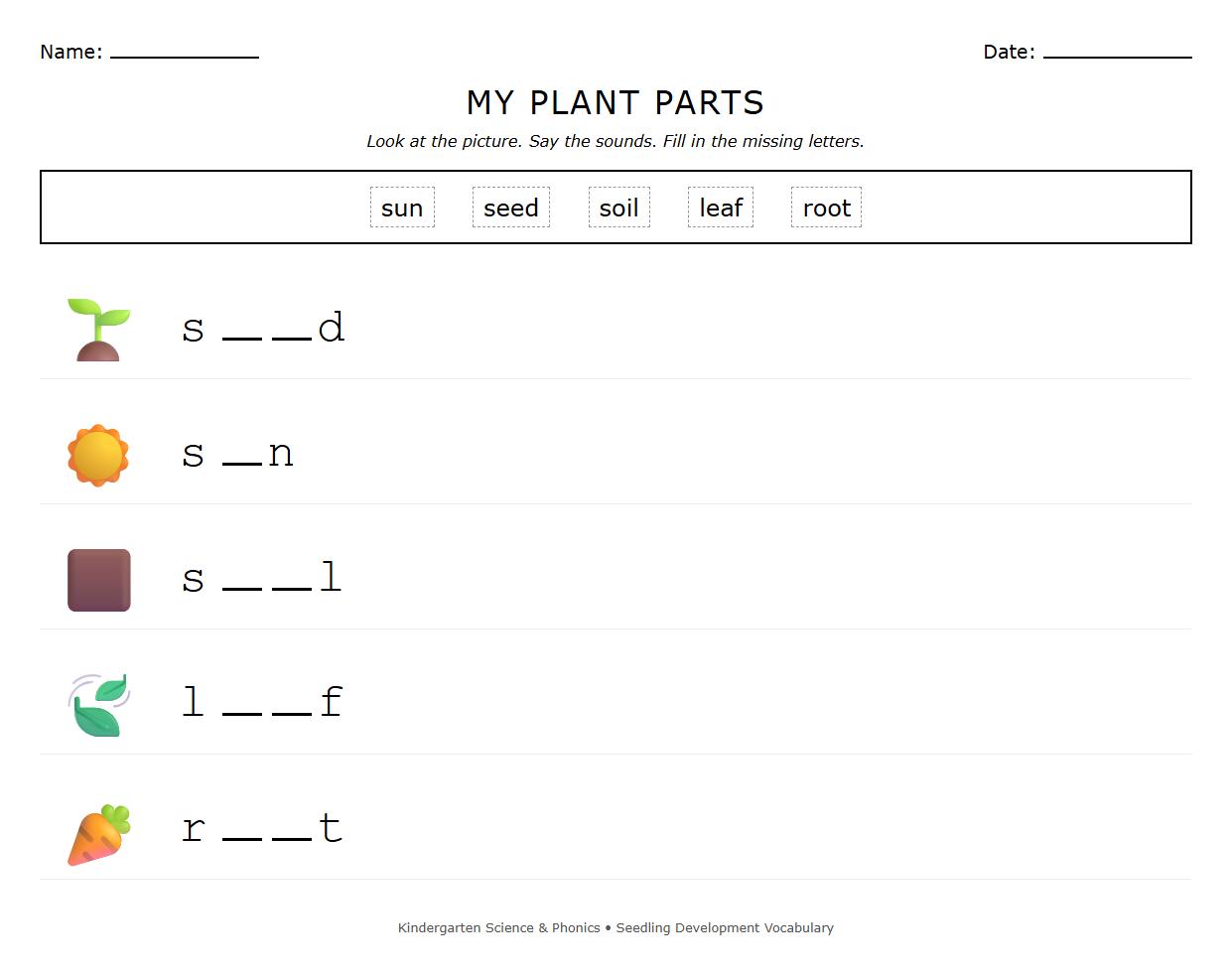 Fill in the Blanks Worksheet for Seedling Development Vocabulary with Phonics Emphasis