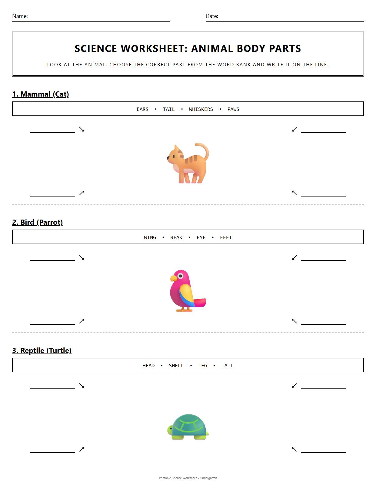 Label the Diagram Worksheet on Body Parts of Mammals Birds and Reptiles