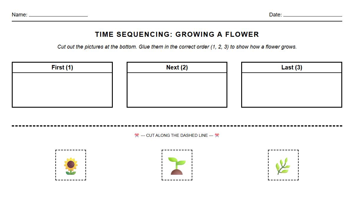 Time Sequencing with Manipulatives Exercise
