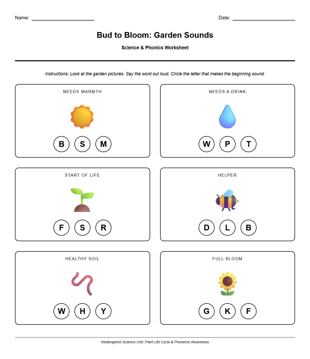 Flower Bud to Bloom Phoneme Identification Worksheet