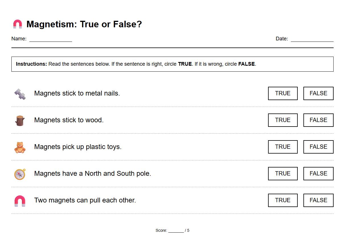 Magnetism True or False Science Statements