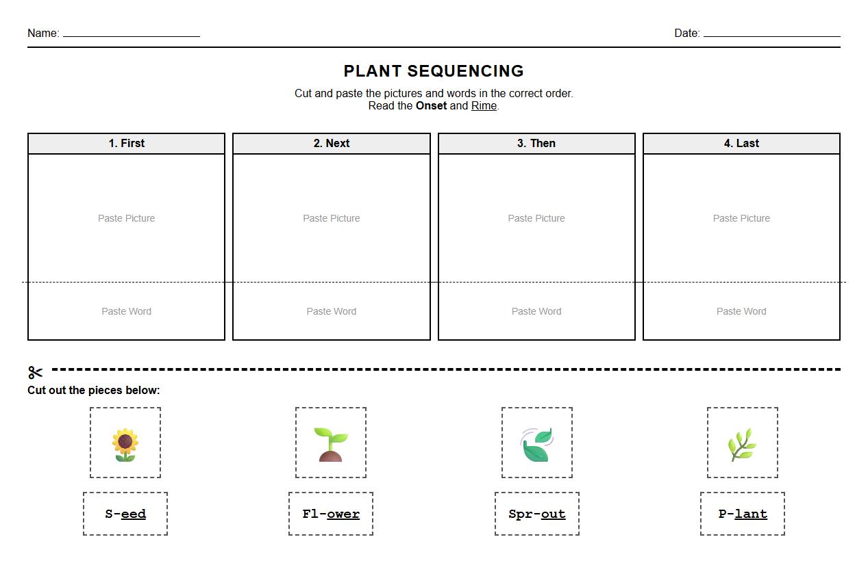 Onset and Rime Cut and Paste Sequencing Worksheet for Plant Development