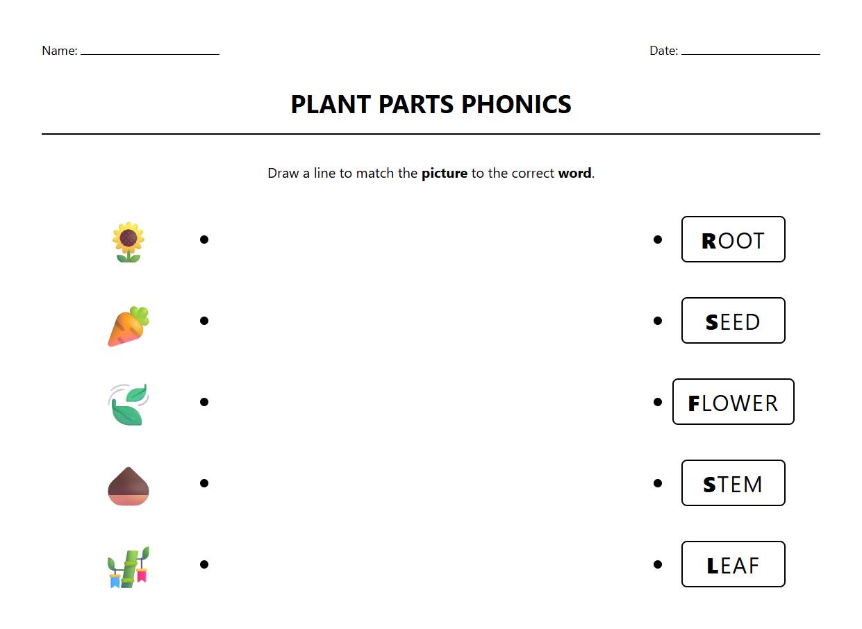 Phonics Matching Worksheet with Plant Parts Vocabulary