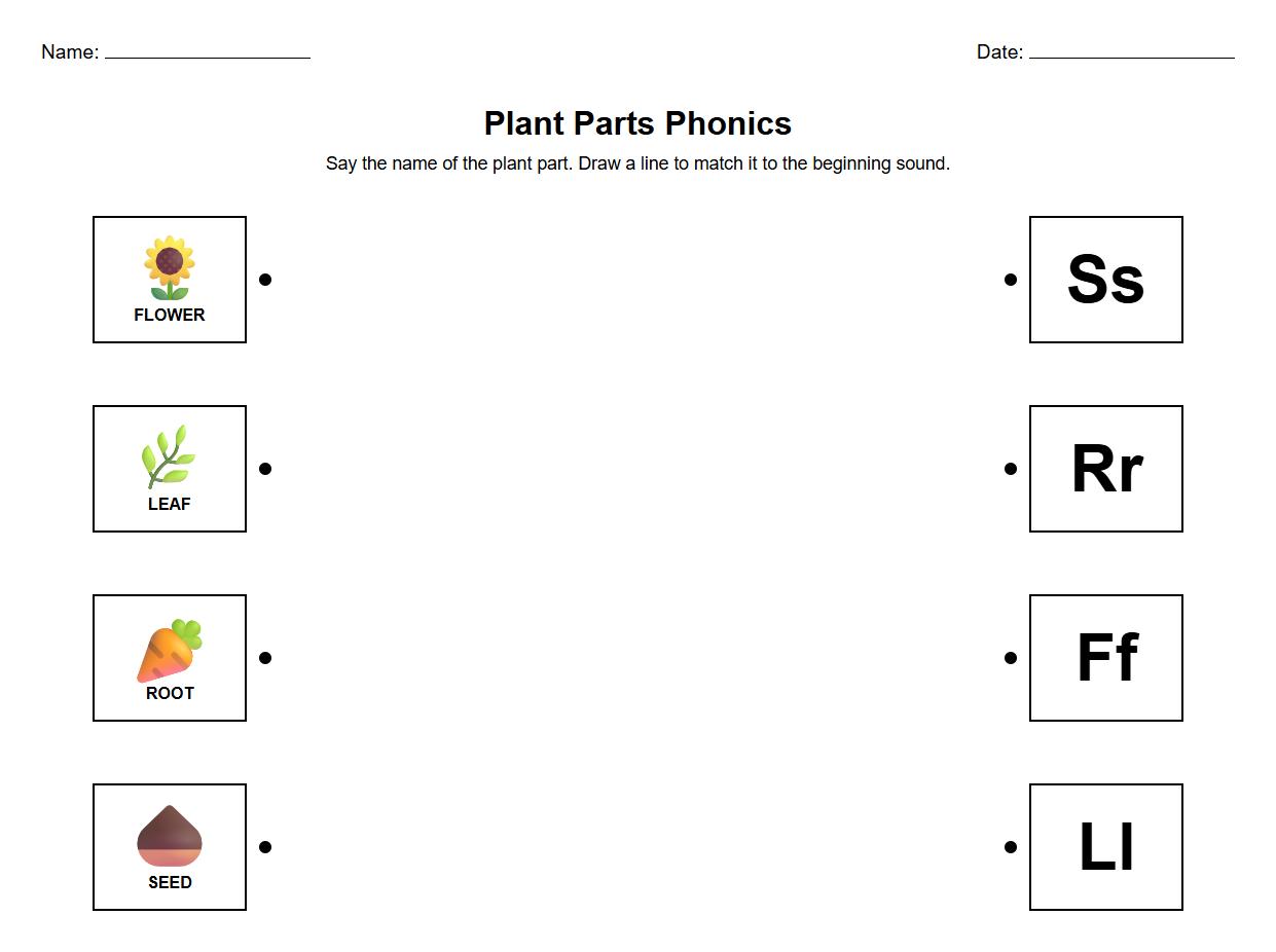 Phonics Sound and Plant Part Matching Chart