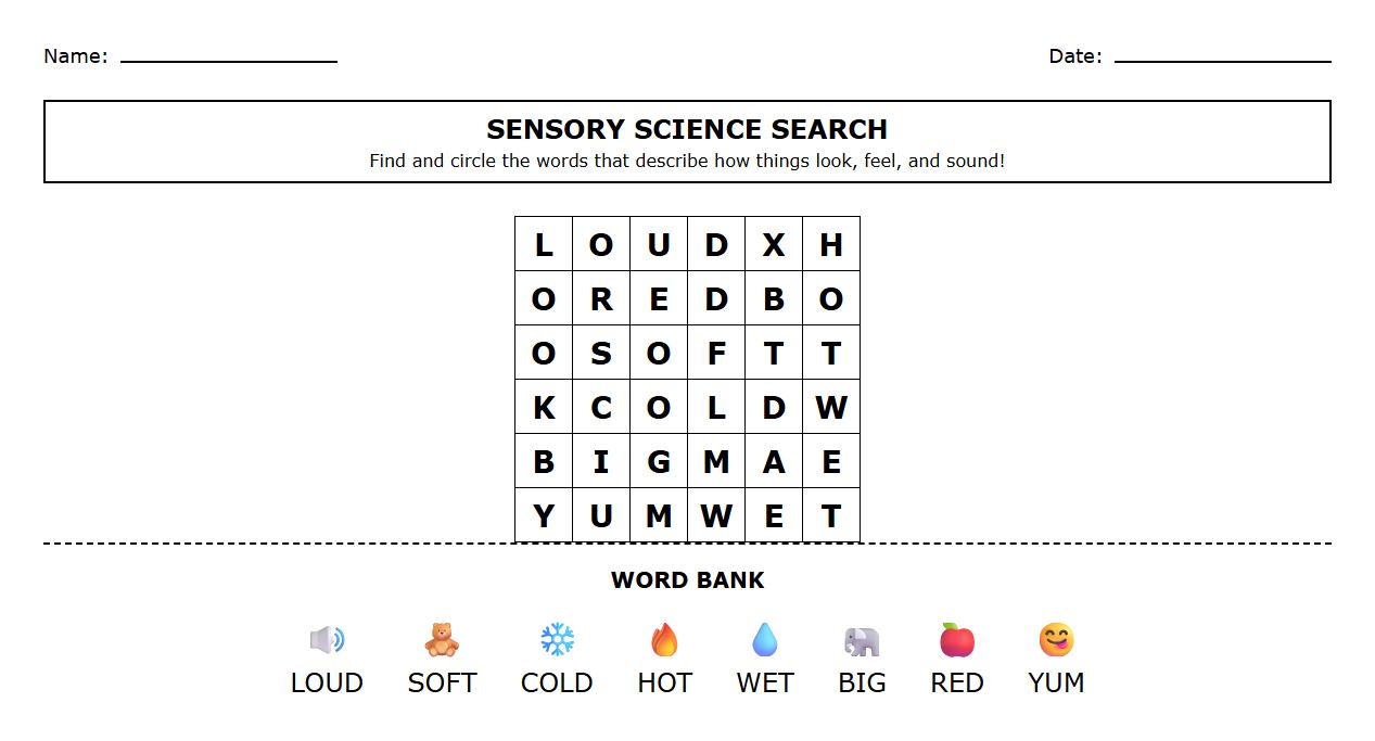 Sensory Words Word Search with Phonic Elements Worksheet
