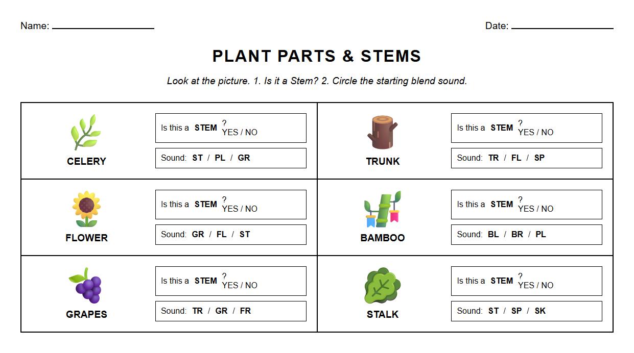 Blend and Plant Stem Identification Grid