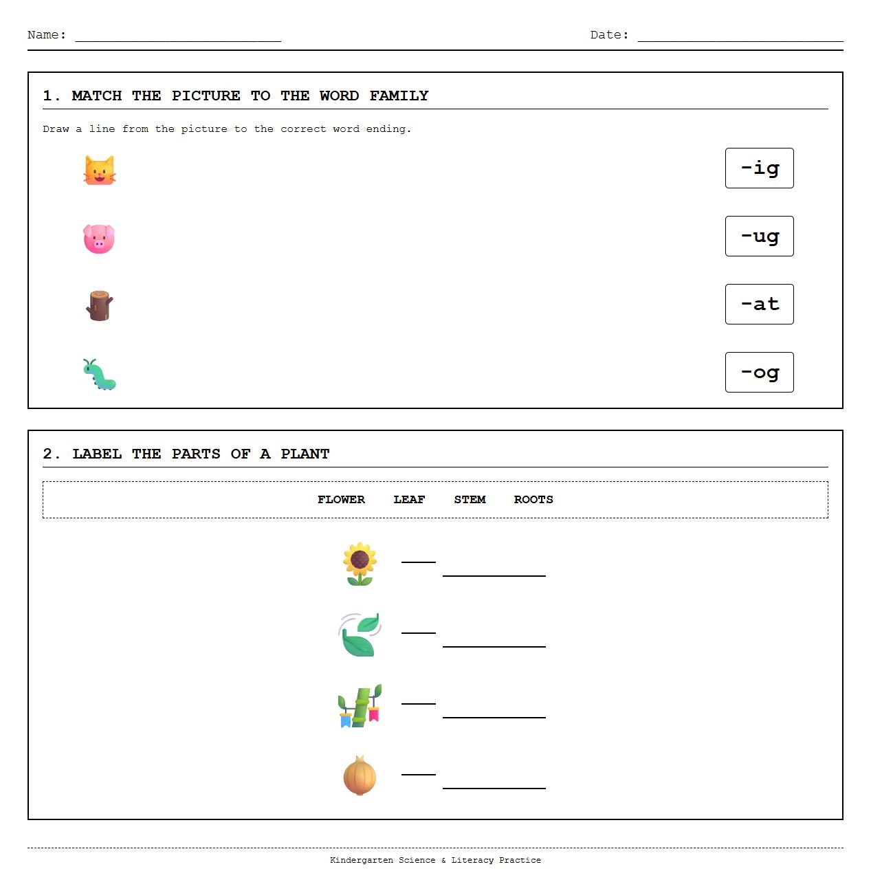 CVC word families matching with plant parts labeling