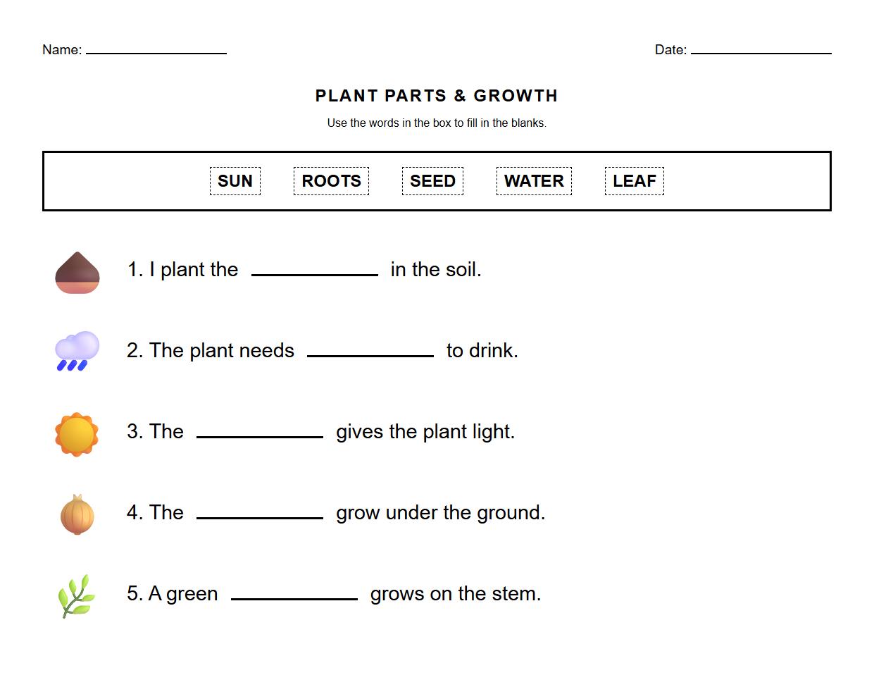 Fill in the Blanks for Germination and Seedling Vocabulary