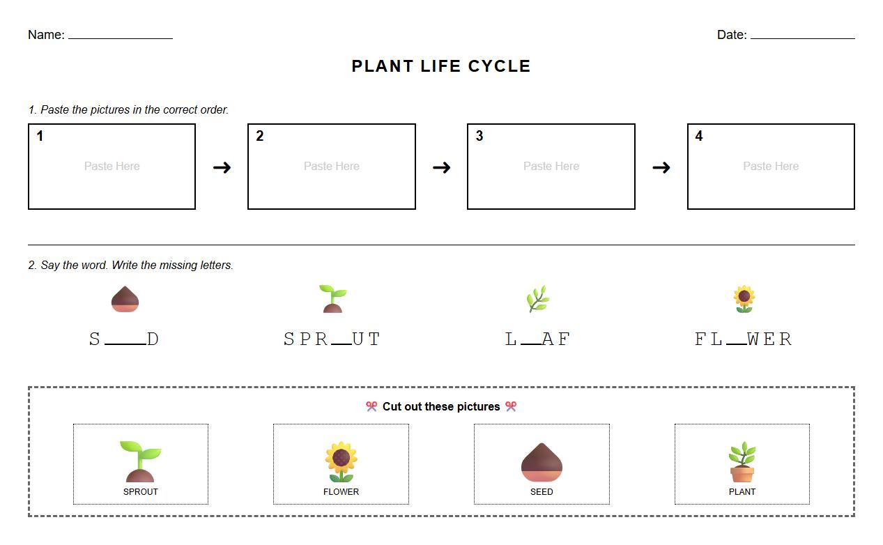 Life Cycle Sequencing Sheet Including Plant Phonics Words
