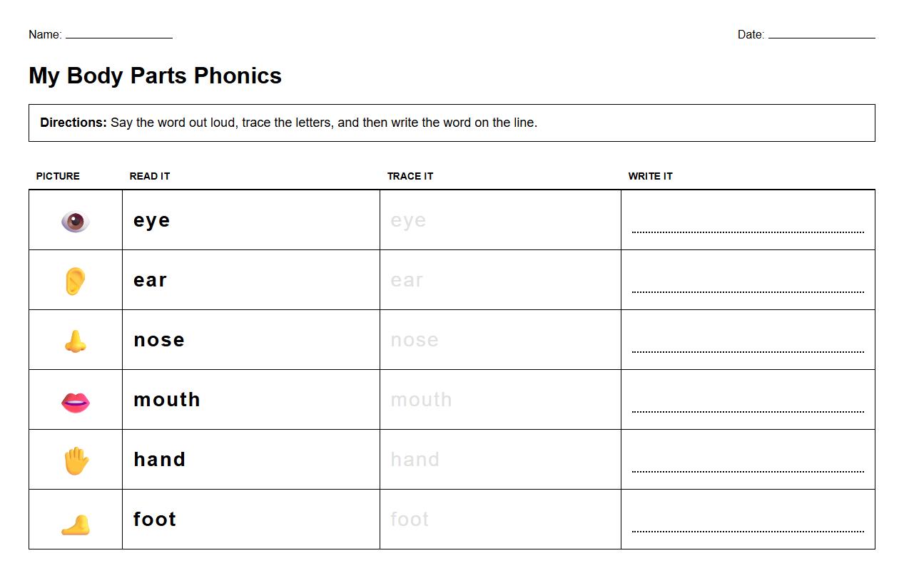Phonics Practice Sheet featuring names of body parts