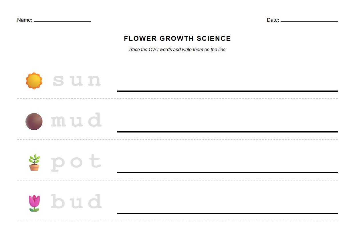CVC Words Tracing Activity for Flower Growth Stages