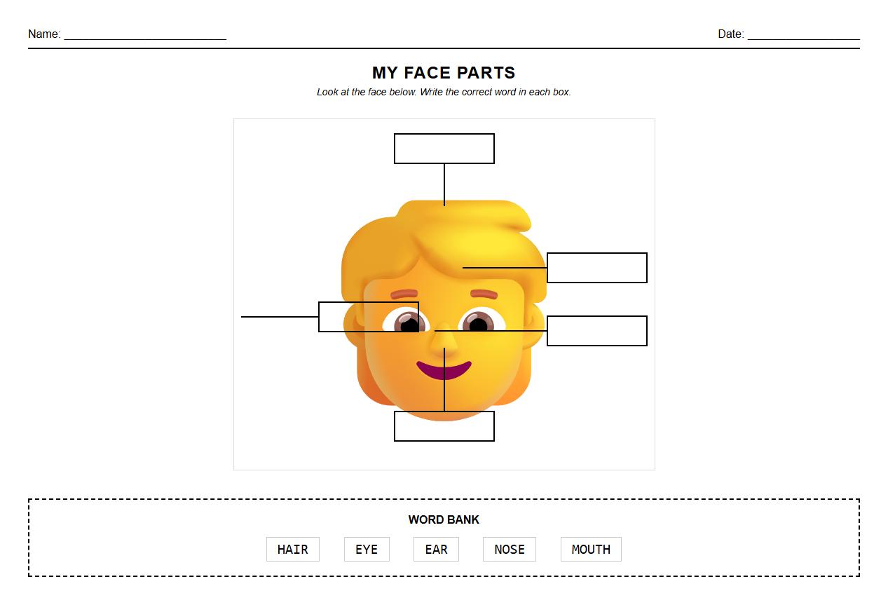 Head and Face Anatomical Features Labeling Practice
